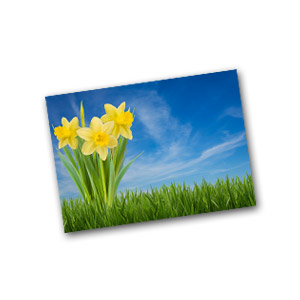 Order Photo Prints Using Your Smartphone